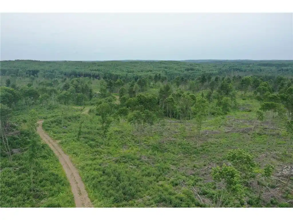 2nd image of Tbd N Larsen Road Road, Hayward, WI 54843 | MLS# 6816027