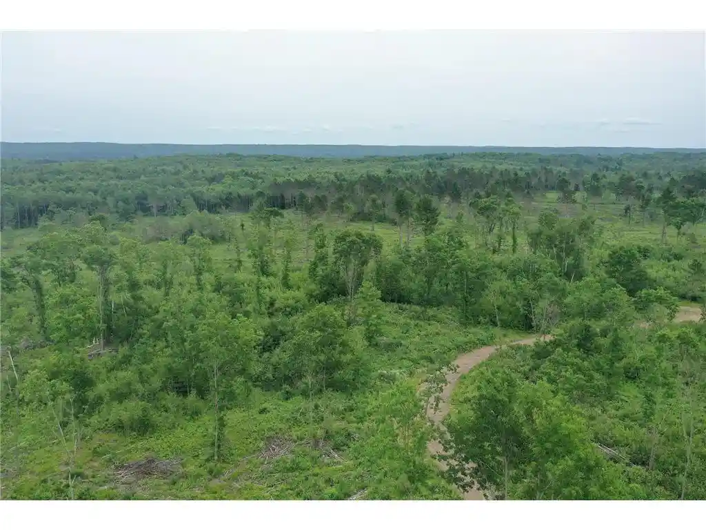 4th image of Tbd N Larsen Road Road, Hayward, WI 54843 | MLS# 6816027