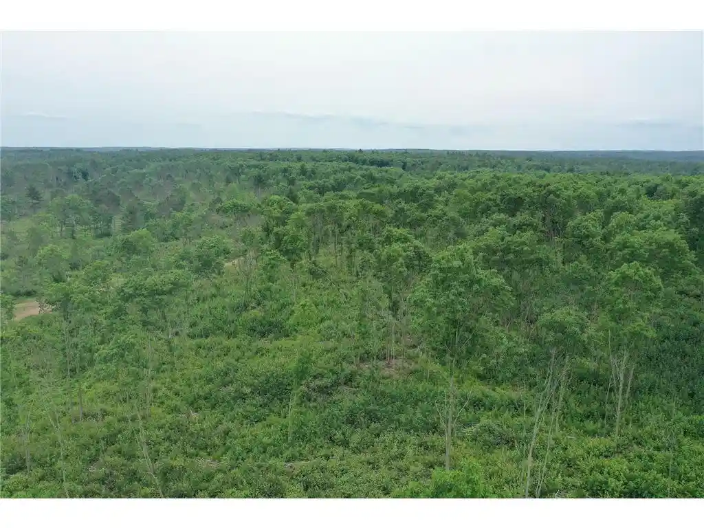 5th image of Tbd N Larsen Road Road, Hayward, WI 54843 | MLS# 6816027