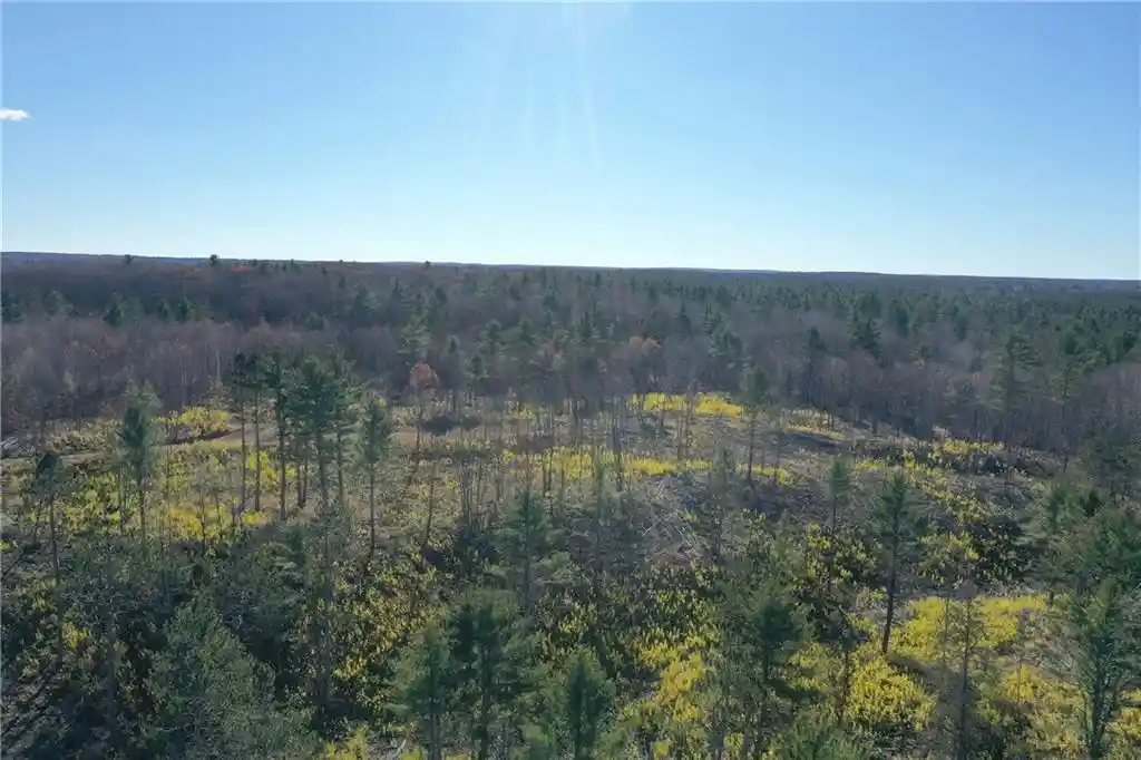 3rd image of Tbd Larsen Road Road, Hayward, WI 54843 | MLS# 1597025