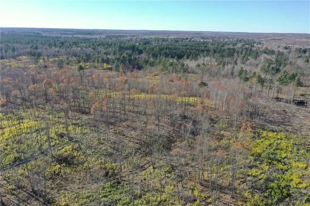 5th image of Tbd Larsen Road Road, Hayward, WI 54843 | MLS# 1597025