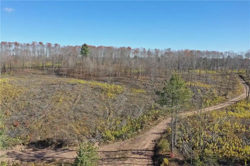 38th image of Tbd Larsen Road Road, Hayward, WI 54843 | MLS# 1597025