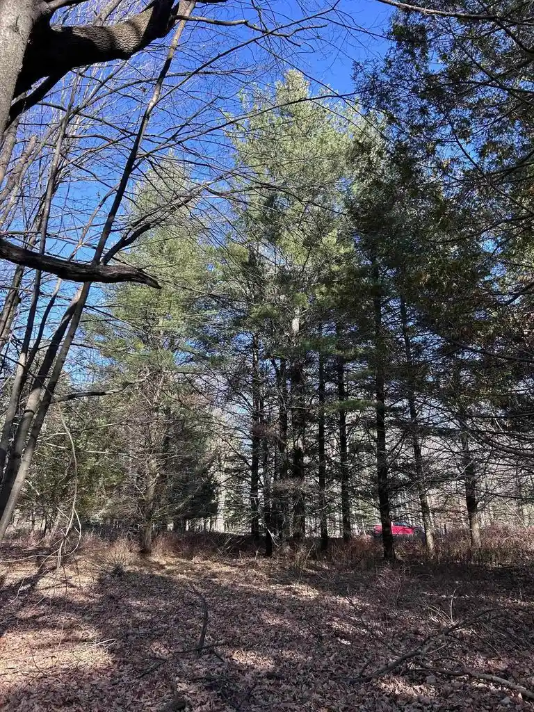 5th image of 525 Lane Lane, Menominee, MI 49858 | MLS# 50318205
