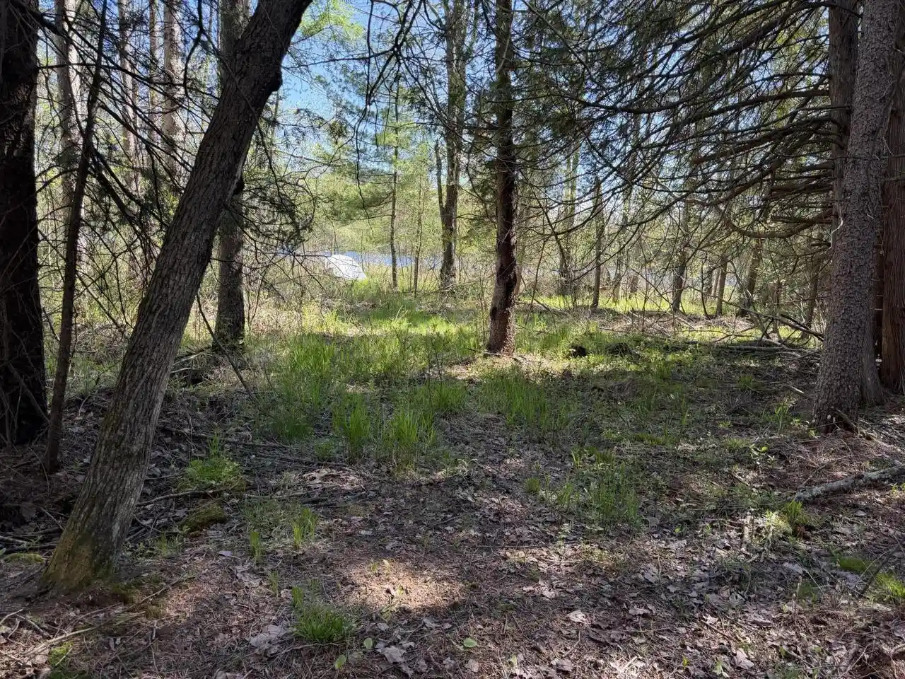 3rd image of Lt 3 Boat Landing 11 Road Road, Silver Cliff, WI 54104 | MLS# 1942959