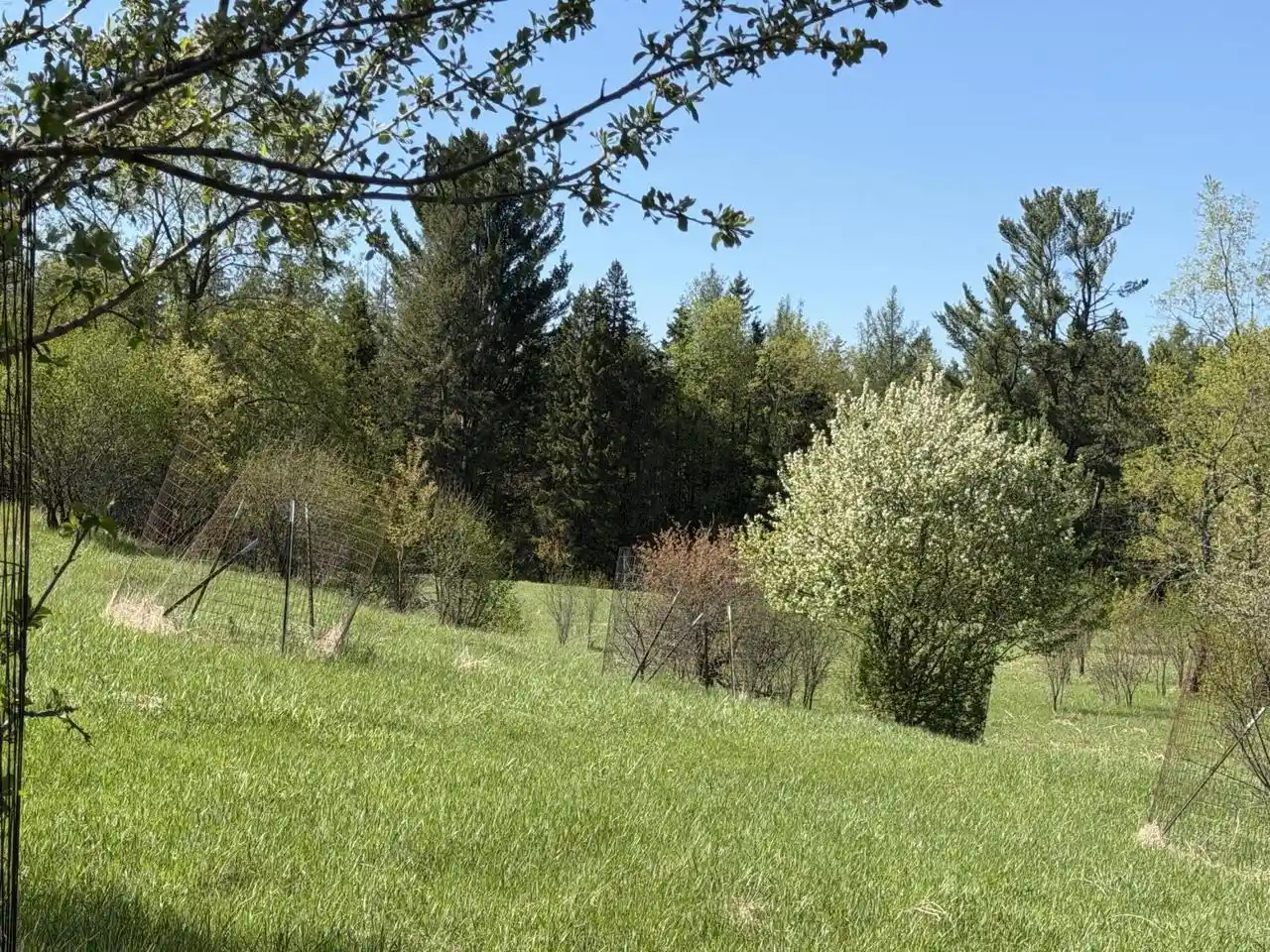 4th image of Lt 3 Boat Landing 11 Road Road, Silver Cliff, WI 54104 | MLS# 1942959