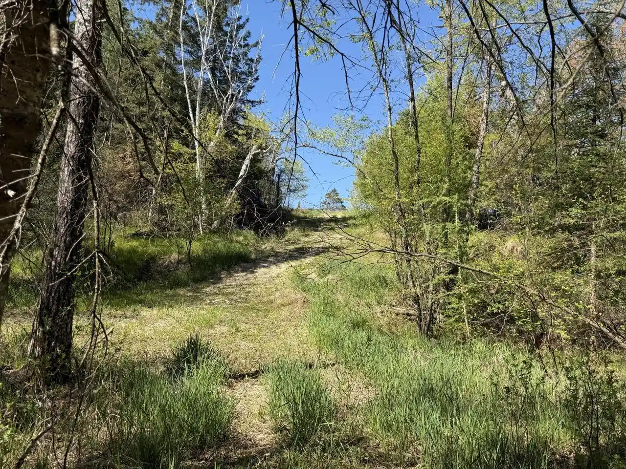 5th image of Lt 3 Boat Landing 11 Road Road, Silver Cliff, WI 54104 | MLS# 1942959
