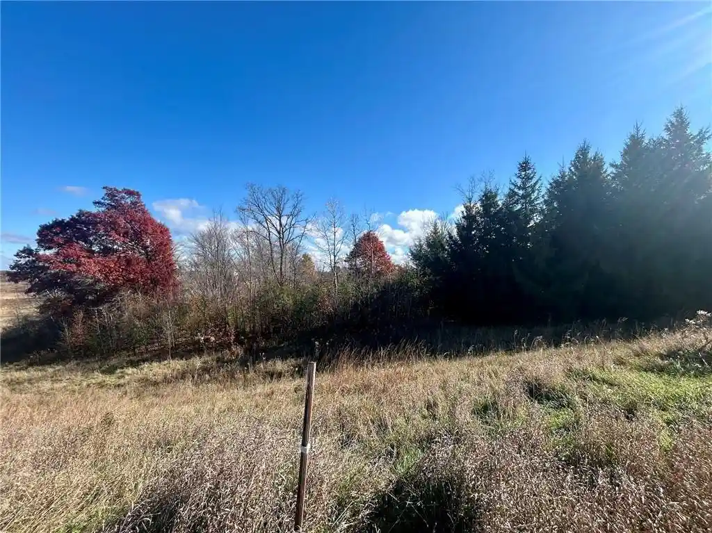 Photo 1 of Land for sale at Tbd 125th Street Street, Amery, WI 54001 | MLS# 1596855 | Listing updated on 2026-08-21