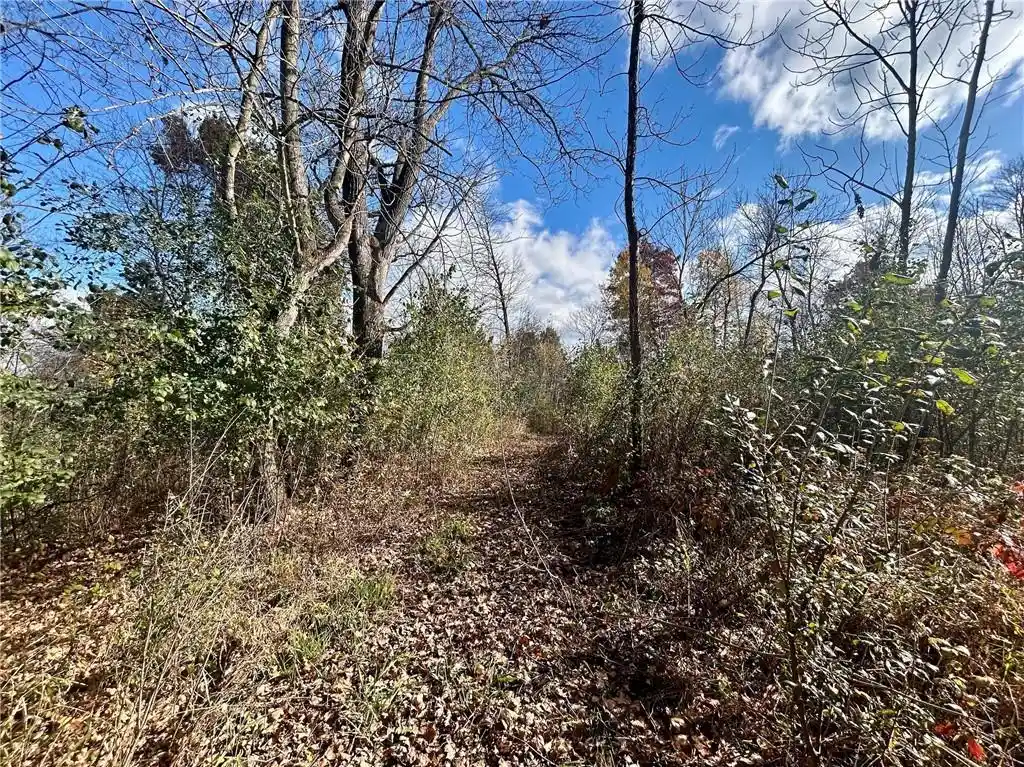 Photo 2 of Land for sale at Tbd 125th Street Street, Amery, WI 54001 | MLS# 1596855 | Listing updated on 2026-08-21