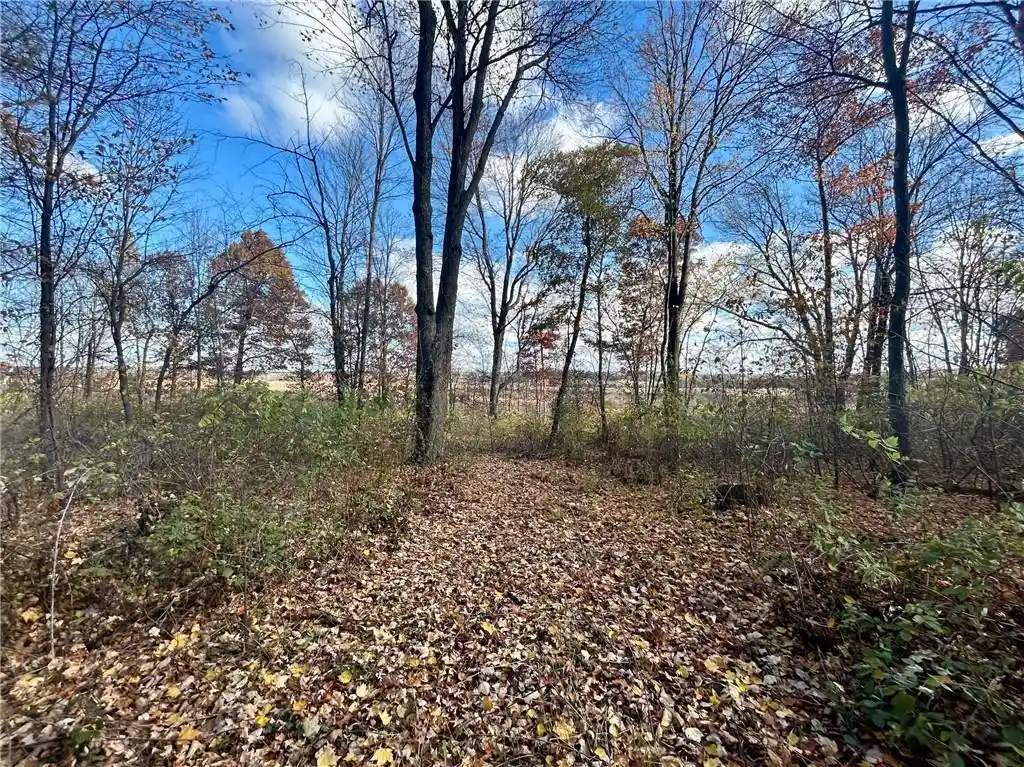 Photo 4 of Land for sale at Tbd 125Th Street Street, Amery, WI 54001 | MLS# 1596855 | Listing updated on 2026-08-21
