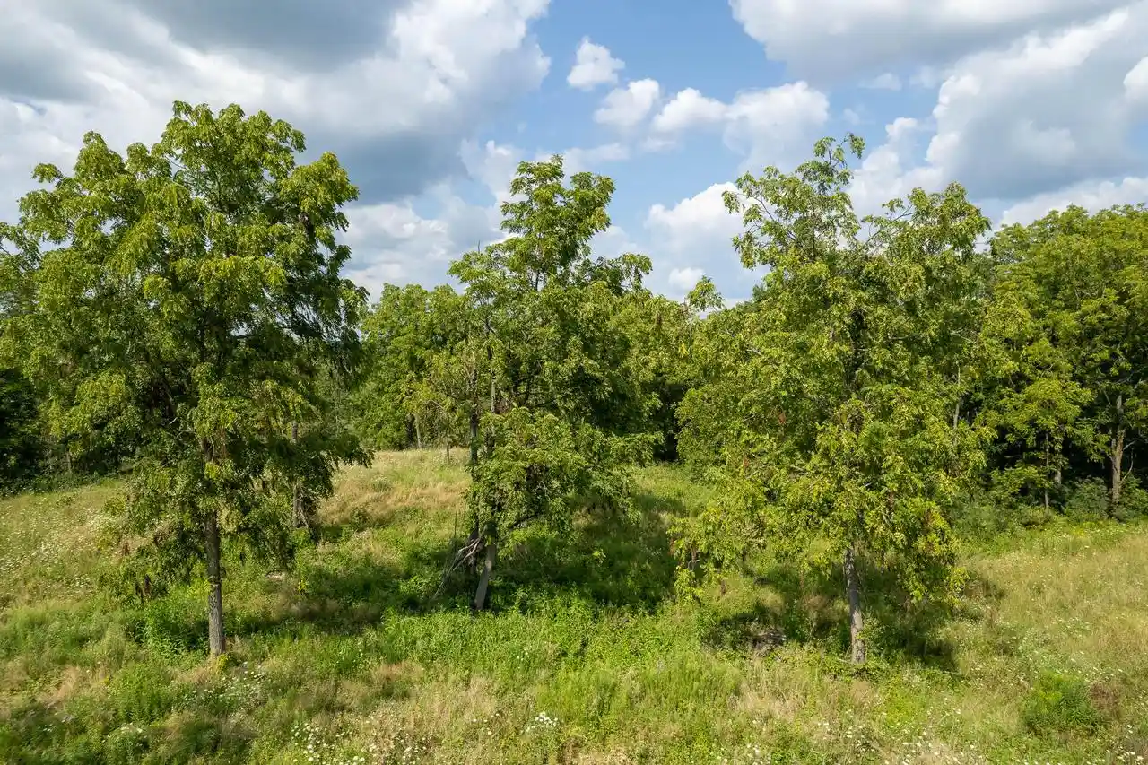 Photo 3 of Land for sale at Lt10 Lakeview Glen Dr Dr, Lake Geneva, WI 53147 | MLS# 1943267 | Listing updated on 2026-06-24