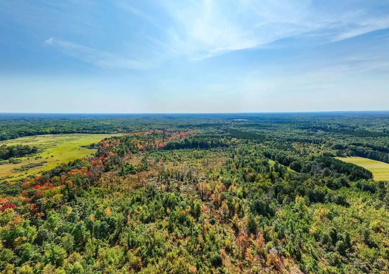 Photo 3 of Land for sale at Lot 0 Lonesome Road Road, Wisconsin Rapids, WI 54495 | MLS# 22505520 | Listing updated on 2026-04-29