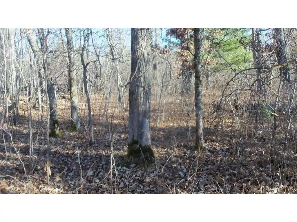 4th image of Lot 2 Ferry Rd, Grantsburg, WI 54840 | MLS# 6821609