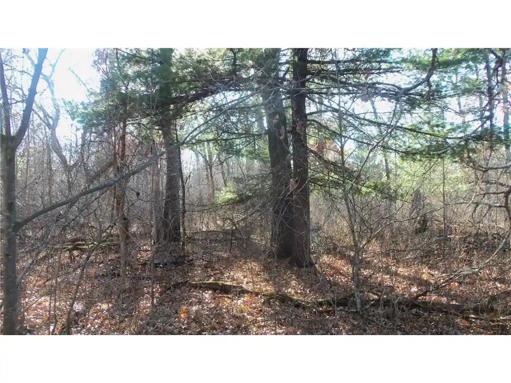 9th image of Lot 2 Ferry Rd, Grantsburg, WI 54840 | MLS# 6821609