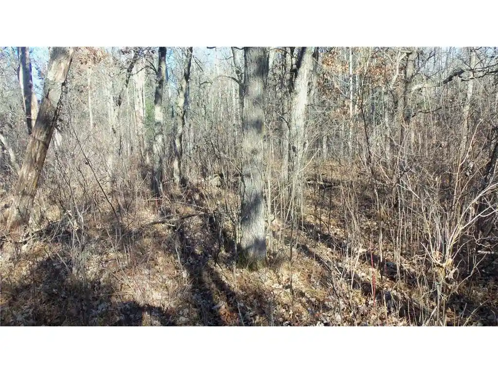 2nd image of Lot 3 Ferry Rd, Grantsburg, WI 54840 | MLS# 6821610