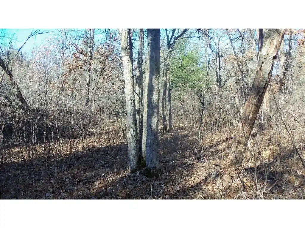3rd image of Lot 3 Ferry Rd, Grantsburg, WI 54840 | MLS# 6821610