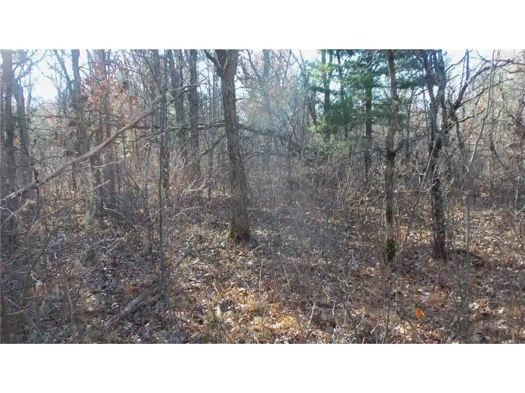 11th image of Lot 3 Ferry Rd, Grantsburg, WI 54840 | MLS# 6821610