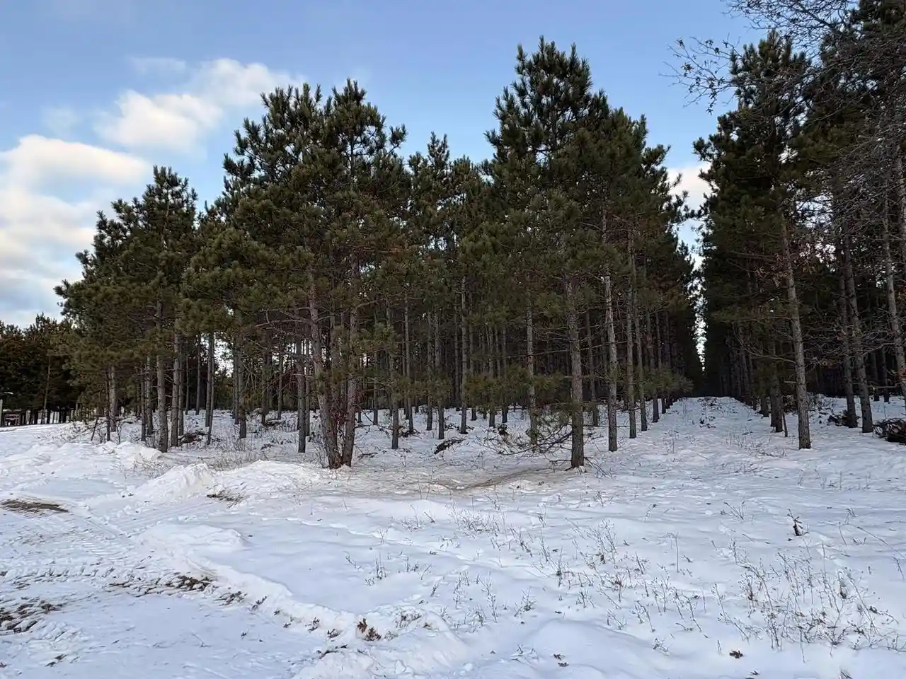 Homes for sale in Wisconsin Rapids, WI | W 10 Acres Wilderness Lane Lane, Wisconsin Rapids, WI 54494 | MLS# 22505796