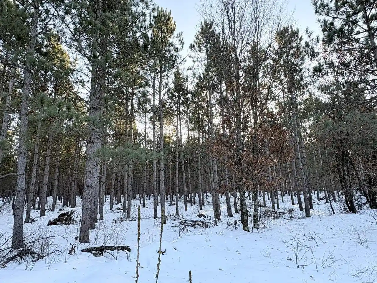 Homes for sale in Wisconsin Rapids, WI | W 10 Acres Wilderness Lane Lane, Wisconsin Rapids, WI 54494 | MLS# 22505796