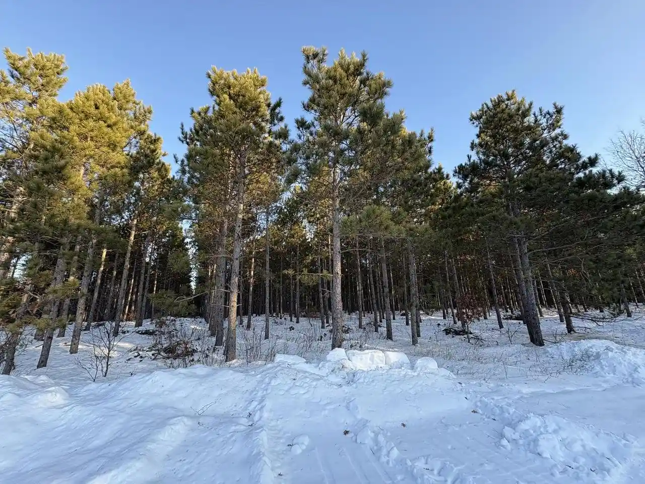 Homes for sale in Wisconsin Rapids, WI | W 10 Acres Wilderness Lane Lane, Wisconsin Rapids, WI 54494 | MLS# 22505796