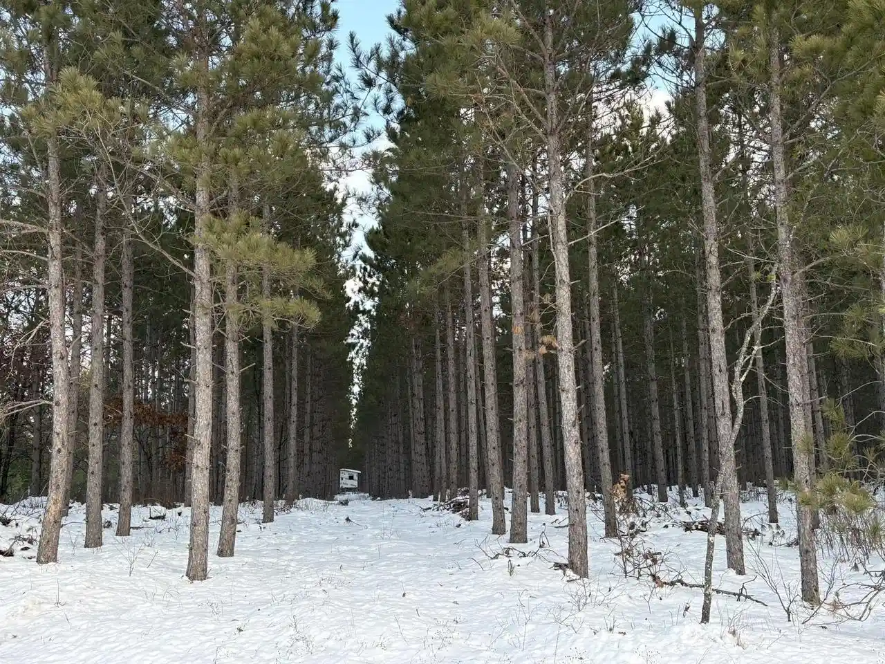 Homes for sale in Wisconsin Rapids, WI | W 10 Acres Wilderness Lane Lane, Wisconsin Rapids, WI 54494 | MLS# 22505796