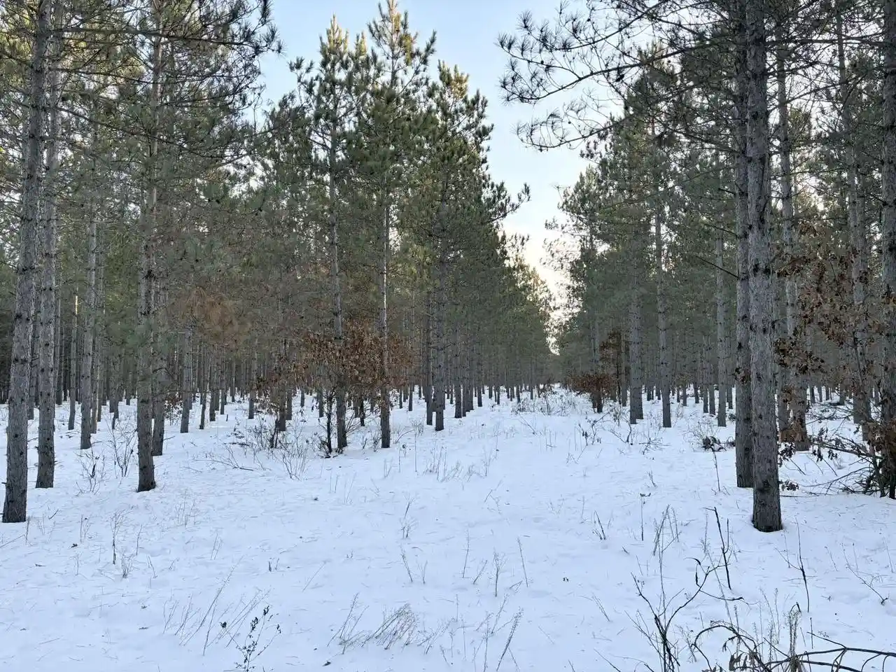 Homes for sale in Wisconsin Rapids, WI | W 10 Acres Wilderness Lane Lane, Wisconsin Rapids, WI 54494 | MLS# 22505796