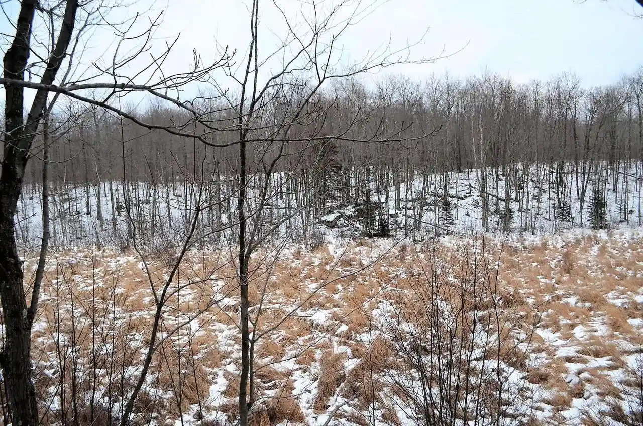 Homes for sale in Hatley, WI | County Rd Y, Hatley, WI 54440 | MLS# 50319380