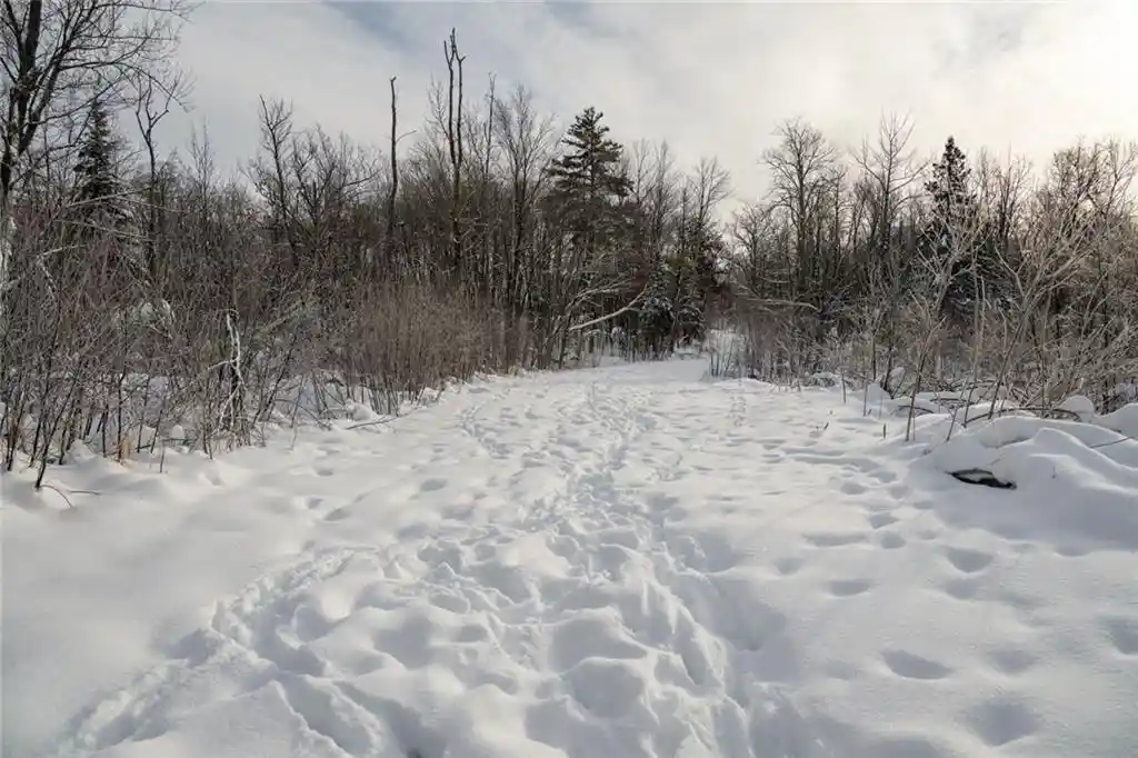 Photo 4 of Land for sale at Block 1 Comet Road Road, Exeland, WI 54835 | MLS# 1597540 | Listing updated on 2026-09-02