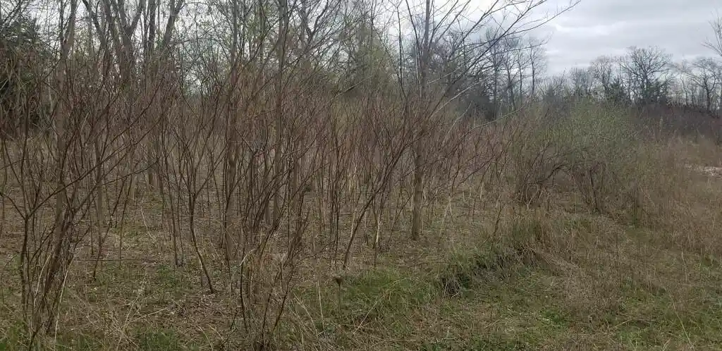 Photo 3 of Land for sale at Lt1 N English Settlement Avenue Avenue, Burlington, WI 53105 | MLS# 1946084 | Listing updated on 2026-07-10