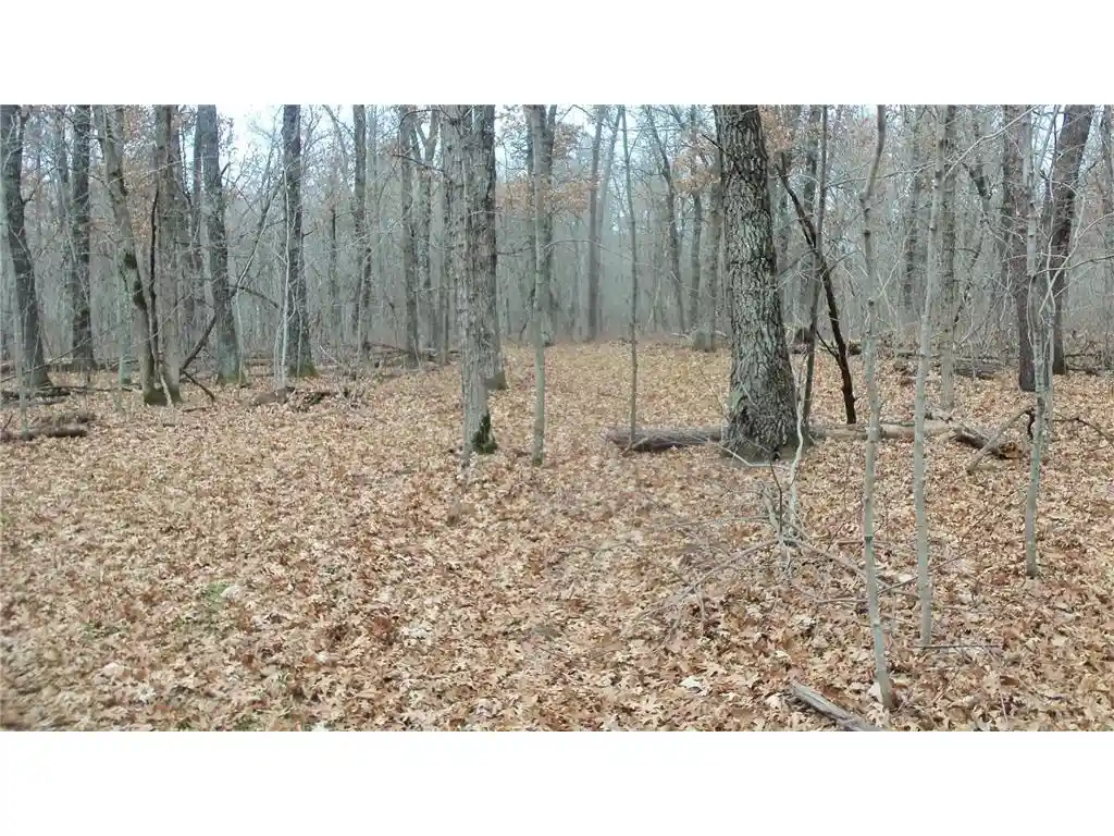 Photo 2 of Land for sale at Lot 5 Cnute Creek Trl, Grantsburg, WI 54840 | MLS# 7003859 | Listing updated on 2026-05-27