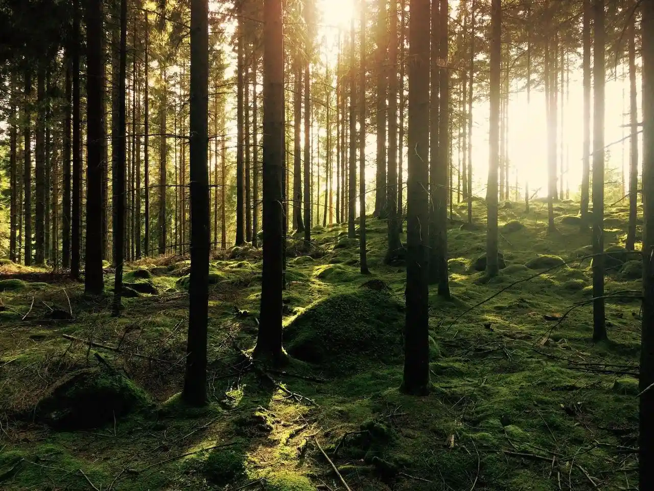 4th image of Lot 13 Glacier Forest Court Court, Verona, WI 53593 | MLS# 2014300