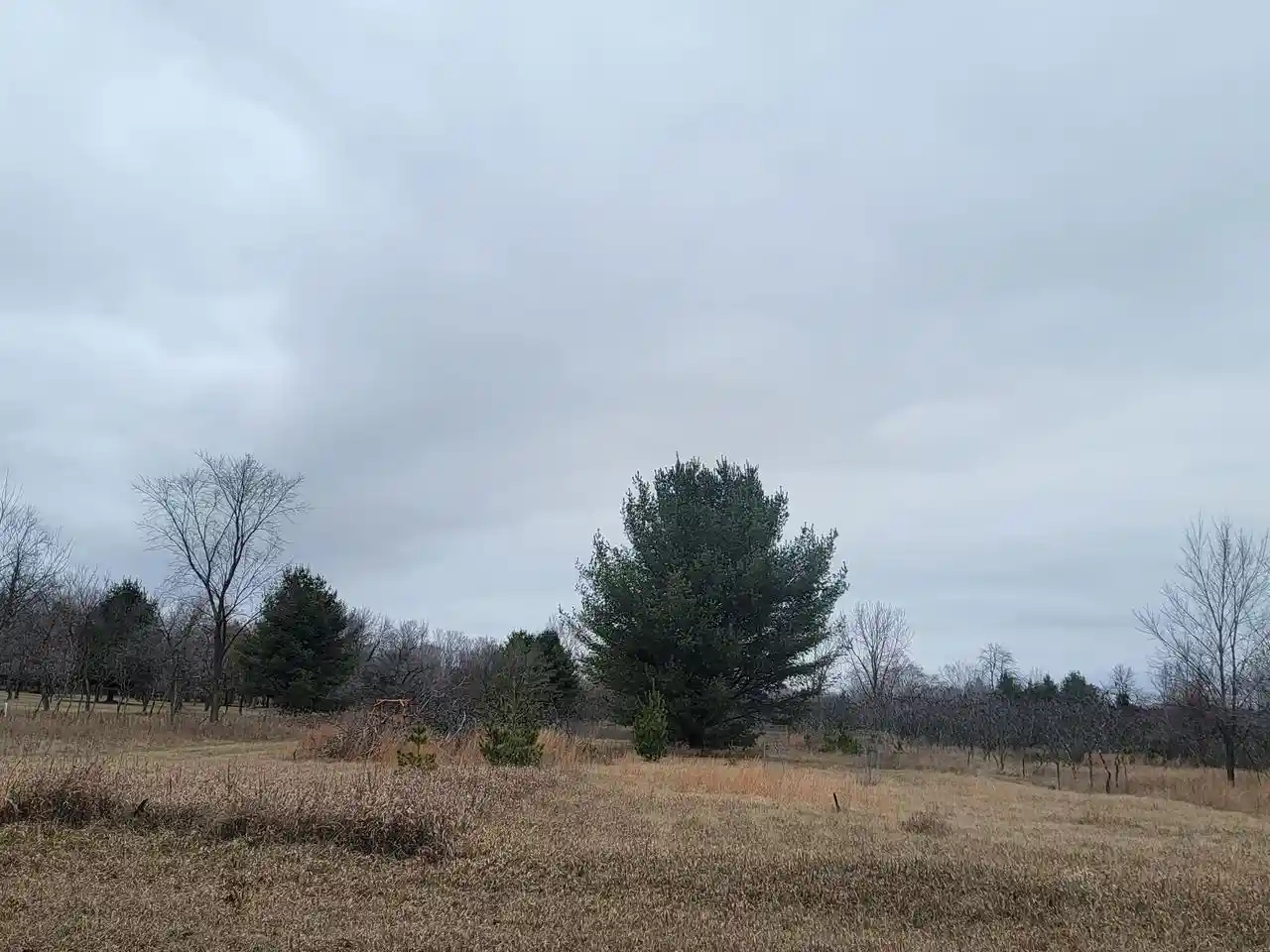 Photo 1 of Land for sale at Sheridan Street Street, Oconto Falls, WI 54154 | MLS# 50319539 | Listing updated on 2026-04-29