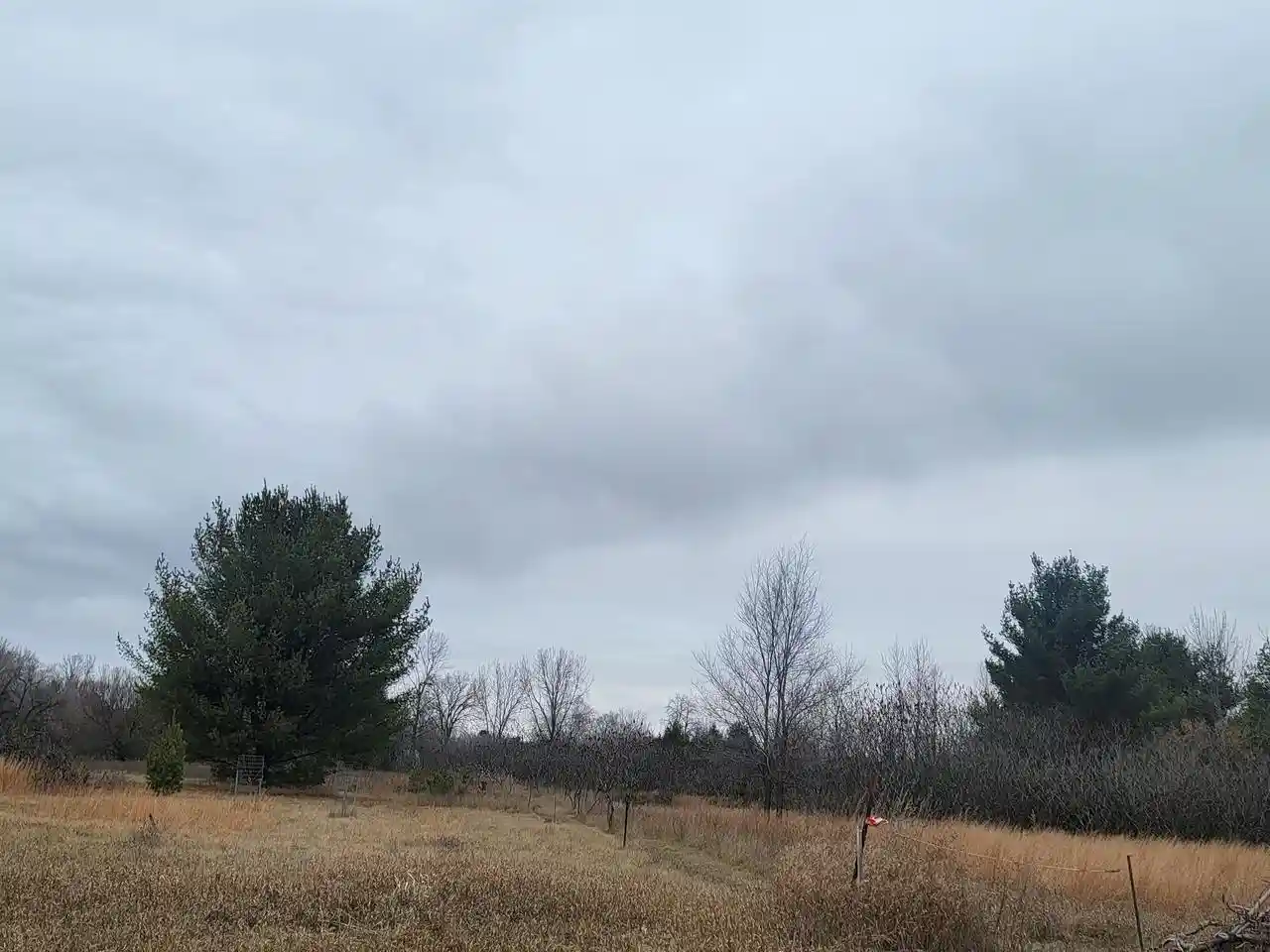 Photo 3 of Land for sale at Sheridan Street Street, Oconto Falls, WI 54154 | MLS# 50319539 | Listing updated on 2026-04-29
