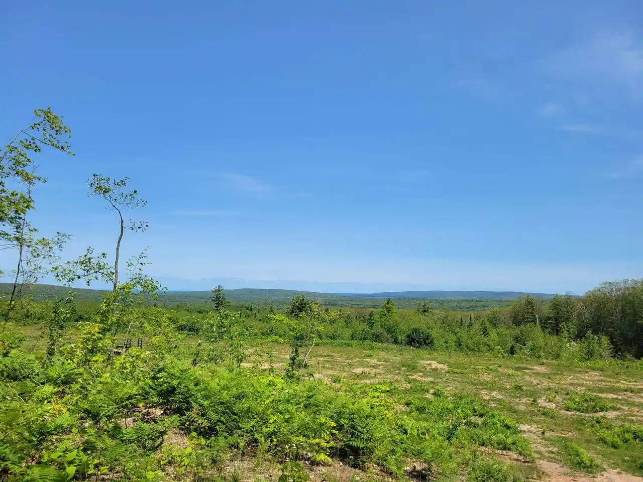 Photo 1 of Land for sale at 89xxx Mariner Mile, Bayfield, WI 54814 | MLS# 6123266 | Listing updated on 2026-04-29