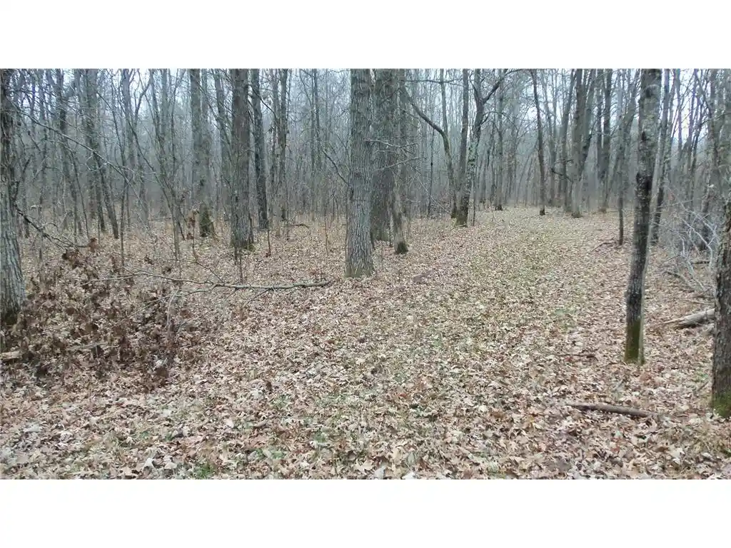 2nd image of Lot 6 Canute Creek Trl, Grantsburg, WI 54840 | MLS# 7006772
