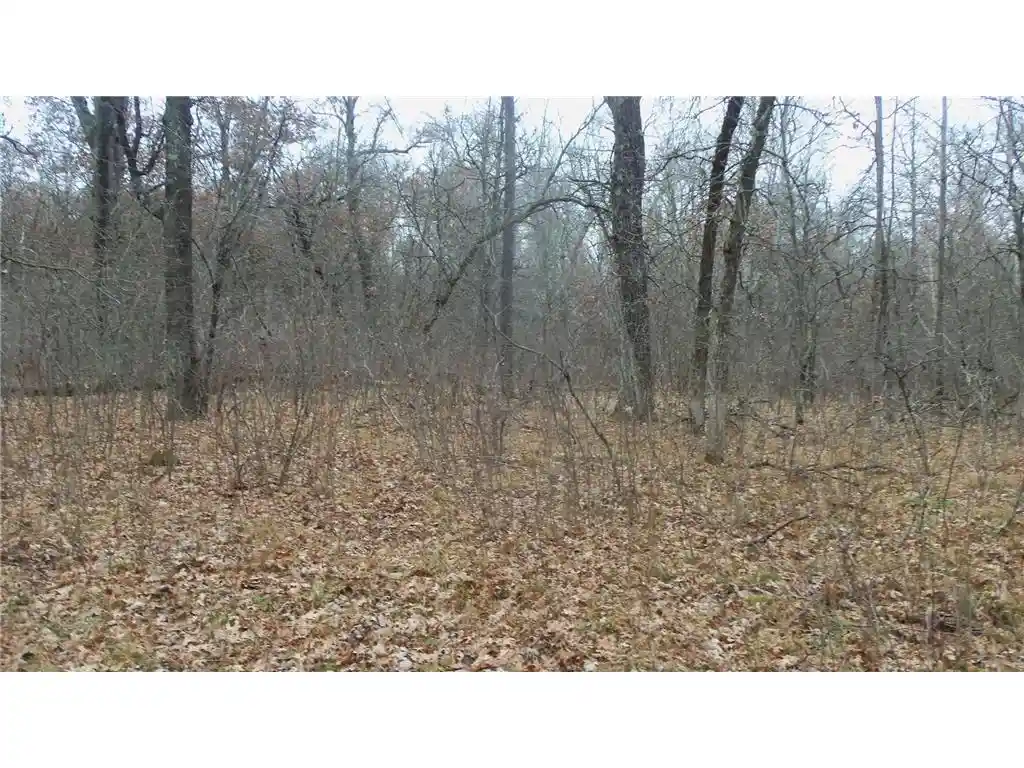 11th image of Lot 6 Canute Creek Trl, Grantsburg, WI 54840 | MLS# 7006772