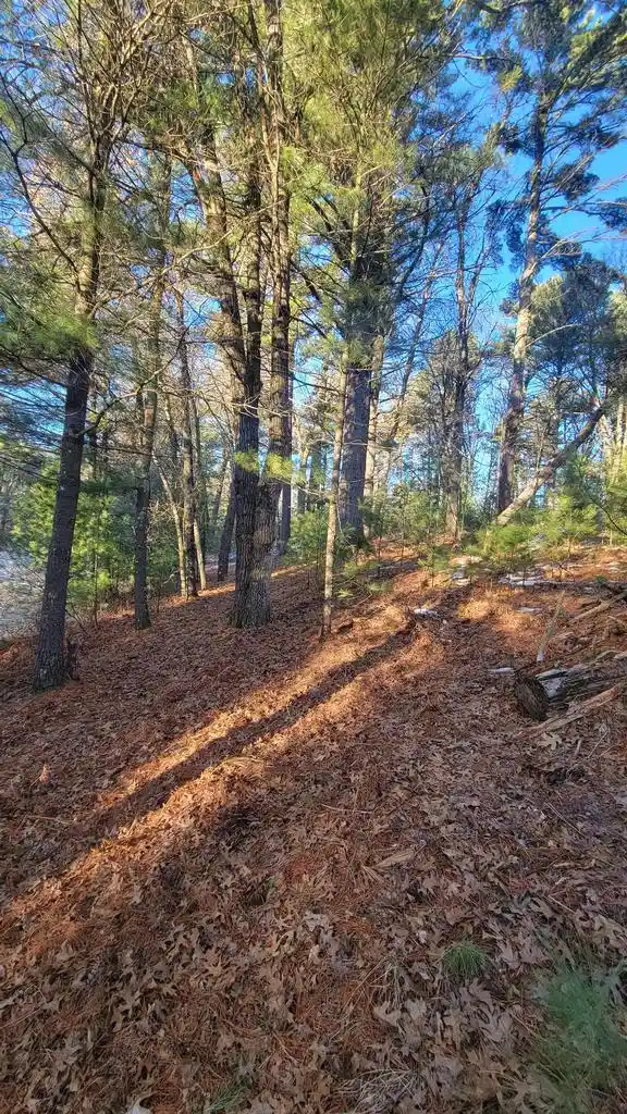Homes for sale in Arkdale, WI | Lot 16 19Th Pass Pass, Arkdale, WI 54613 | MLS# 2014827