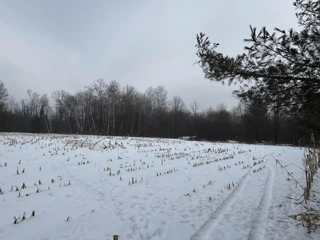 5th image of 4400 N Deer Lane Lane, Mosinee, WI 54455 | MLS# 2014869