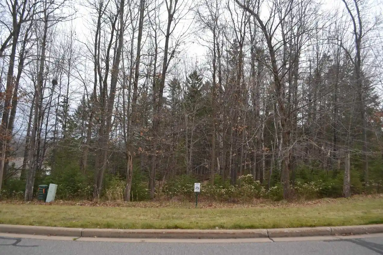 Homes for sale in Wausau, WI | Lot #25 Deer Tail Lane Lane, Wausau, WI 54401 | MLS# 22600225