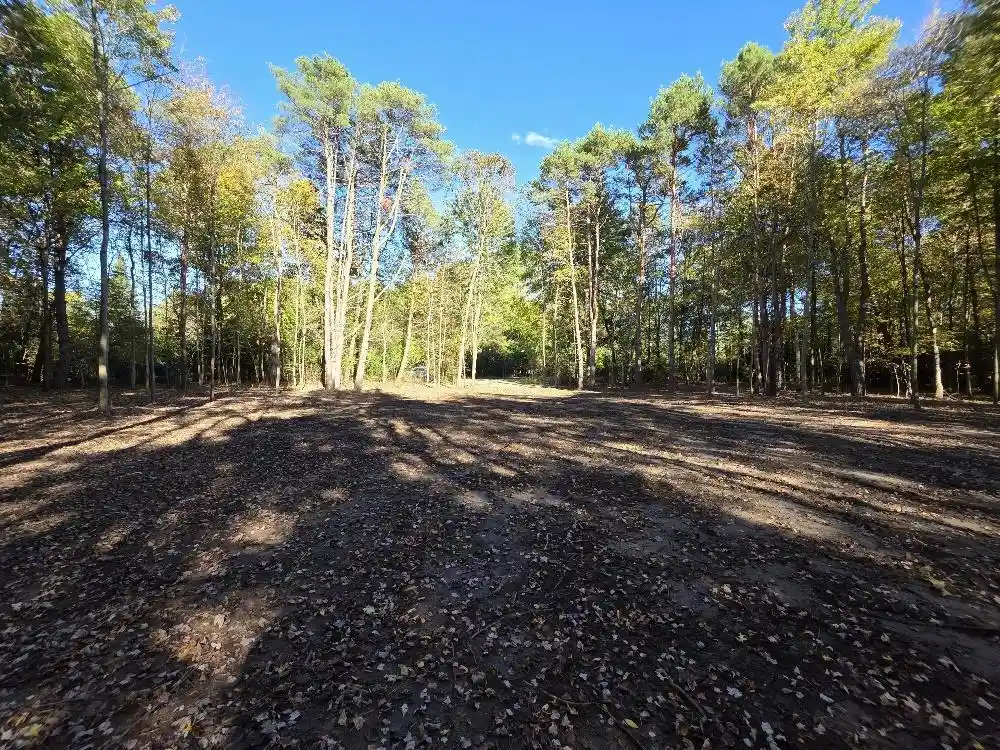 Photo 2 of Land for sale at County Rd W, Wild Rose, WI 54984 | MLS# 50320308 | Listing updated on 2026-10-07