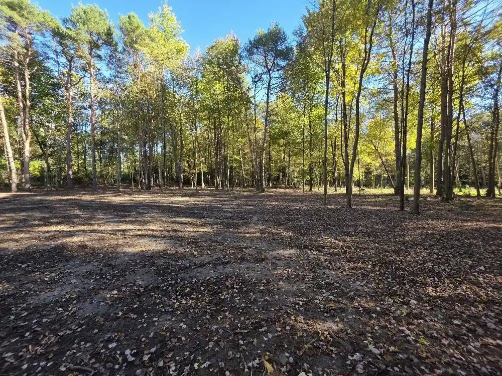 Photo 3 of Land for sale at County Rd W, Wild Rose, WI 54984 | MLS# 50320308 | Listing updated on 2026-10-07