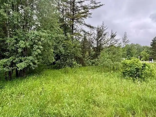 Homes for sale in Kronenwetter, WI | 103 Acres County Road X, Kronenwetter, WI 54455 | MLS# 22600299