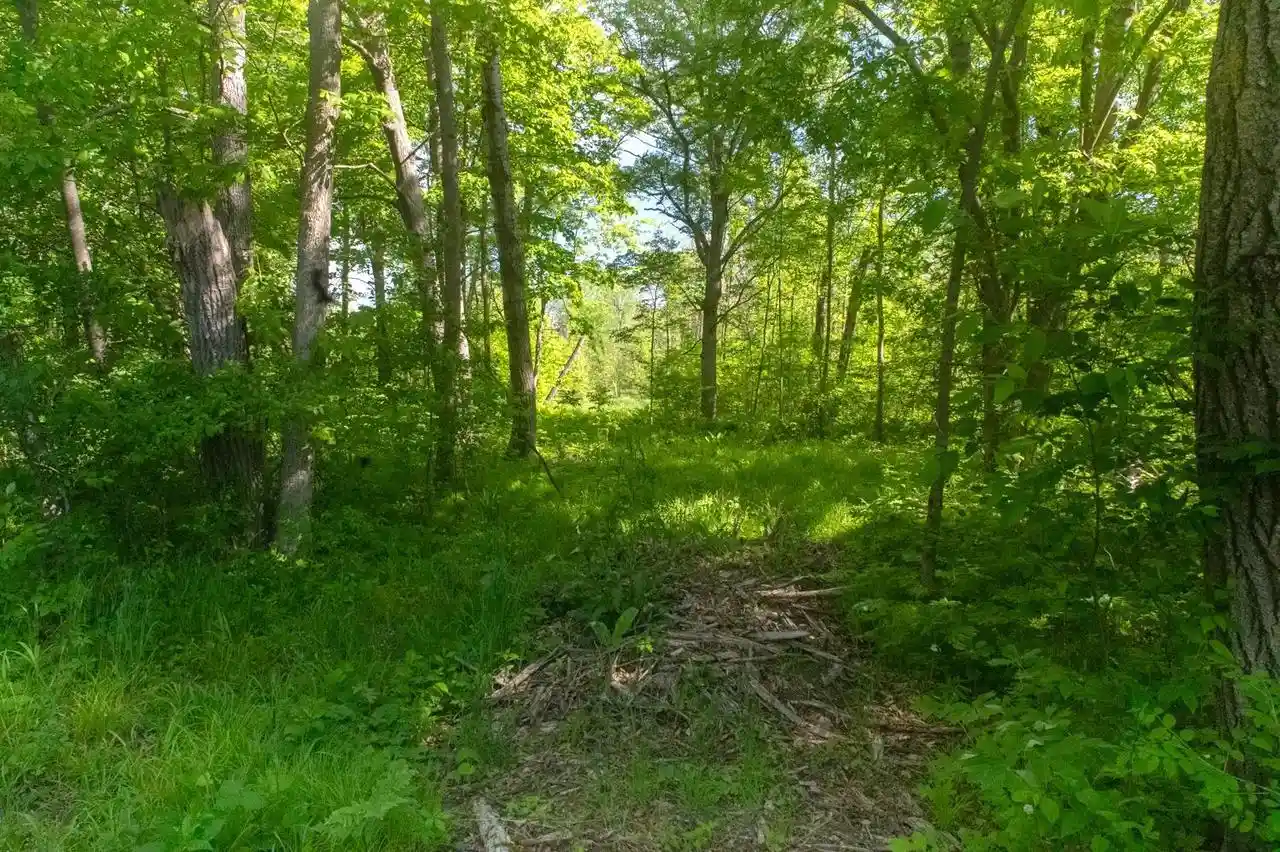 Homes for sale in Redgranite, WI | Chicago Road Road, Redgranite, WI 54970 | MLS# 50320399