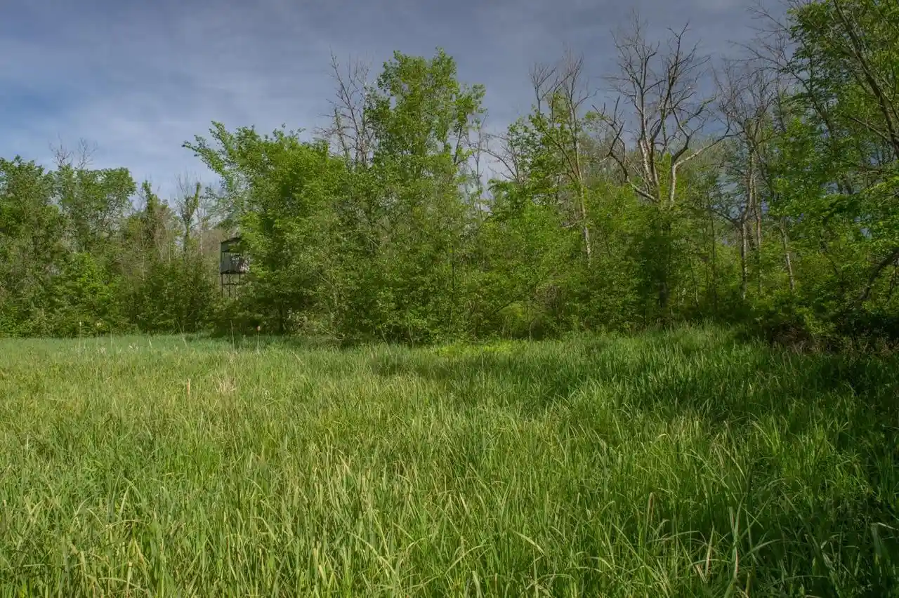 Homes for sale in Redgranite, WI | Chicago Road Road, Redgranite, WI 54970 | MLS# 50320399