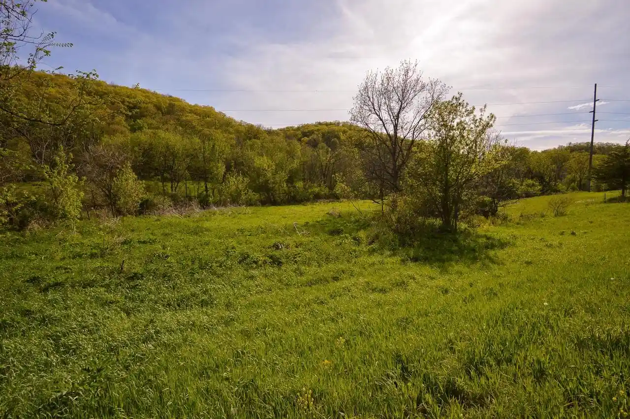 Homes for sale in Boscobel, WI | 125 Acres County Road S, Boscobel, WI 53805 | MLS# 2015604