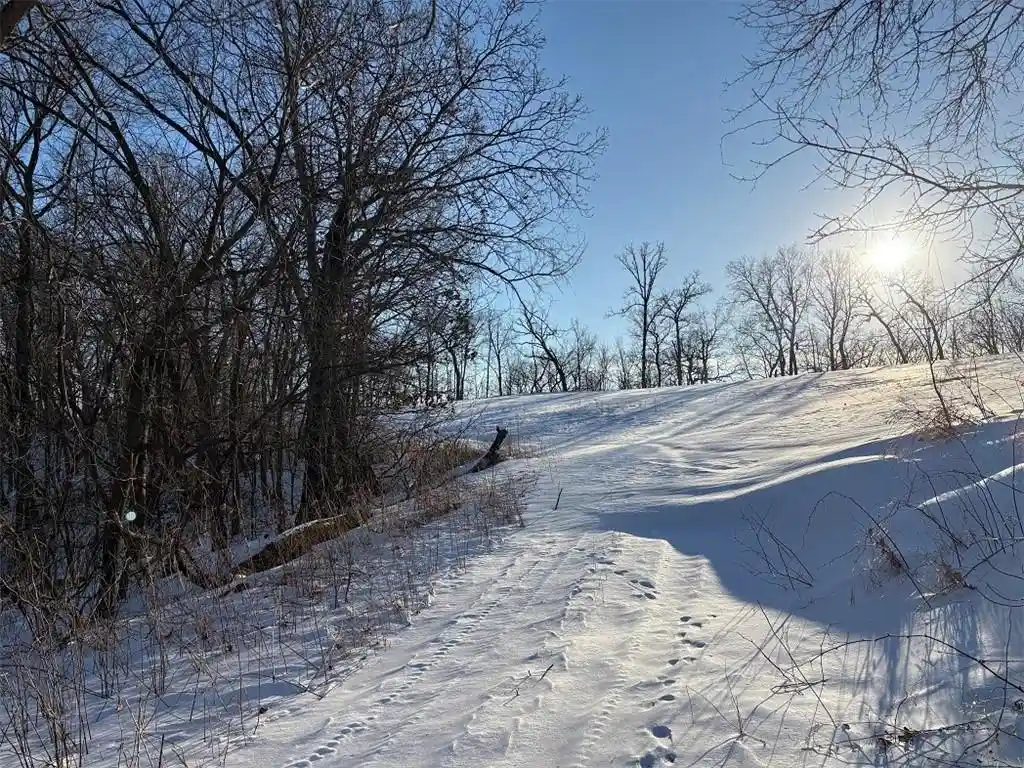 Photo 3 of Land for sale at 0 Yaeger Valley Road Road, Cochrane, WI 54622 | MLS# 1598101 | Listing updated on 2026-06-18