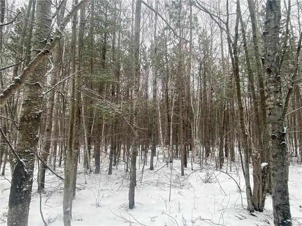 Photo 3 of Land for sale at Near Seven Mile Road Road, Herbster, WI 54844 | MLS# 1598113 | Listing updated on 2026-08-28