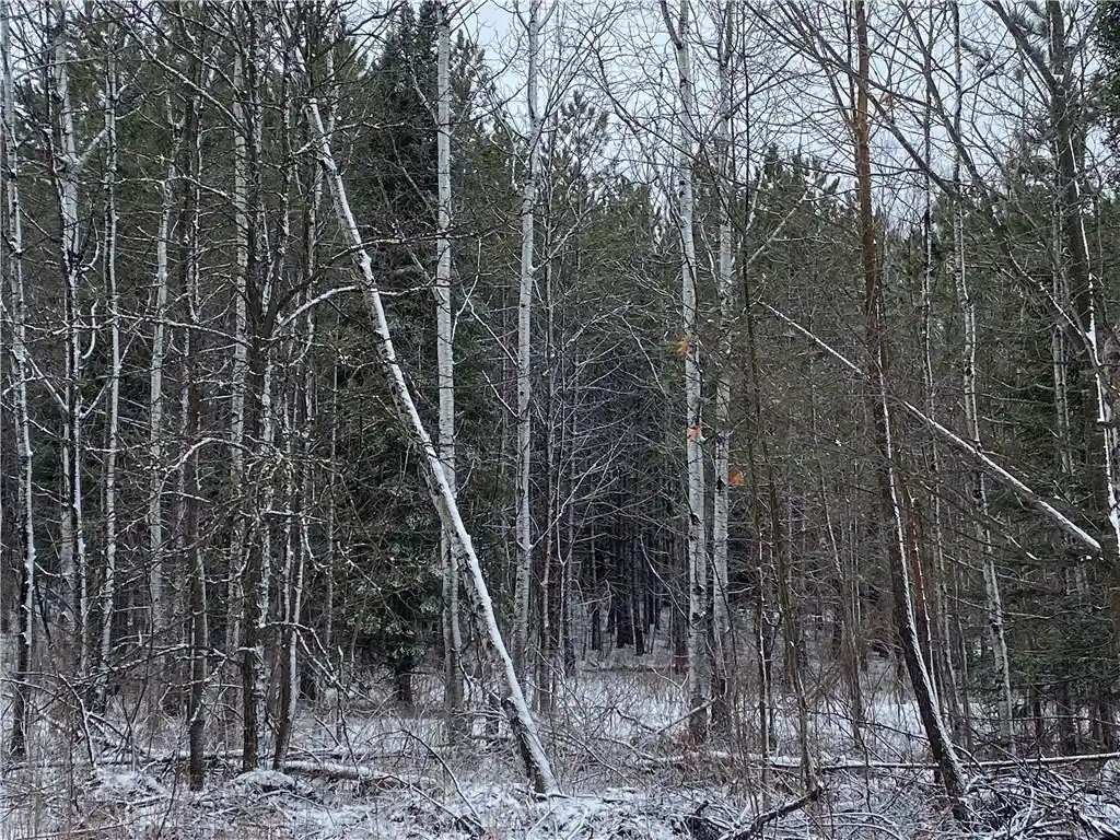 Photo 2 of Land for sale at On Sorenson Road Road, Port Wing, WI 54865 | MLS# 1598122 | Listing updated on 2026-08-28