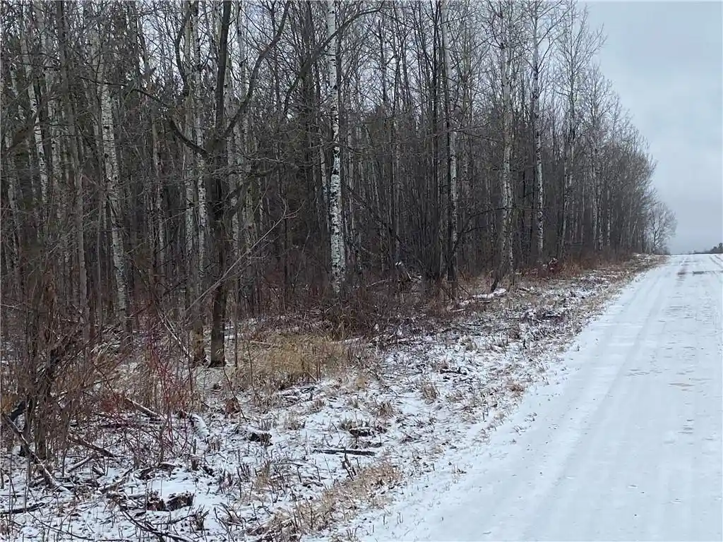 Photo 3 of Land for sale at On Sorenson Road Road, Port Wing, WI 54865 | MLS# 1598122 | Listing updated on 2026-08-28