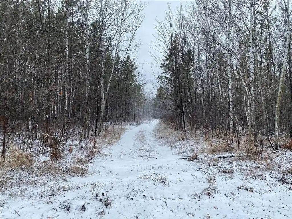 Photo 5 of Land for sale at On Sorenson Road Road, Port Wing, WI 54865 | MLS# 1598122 | Listing updated on 2026-08-28