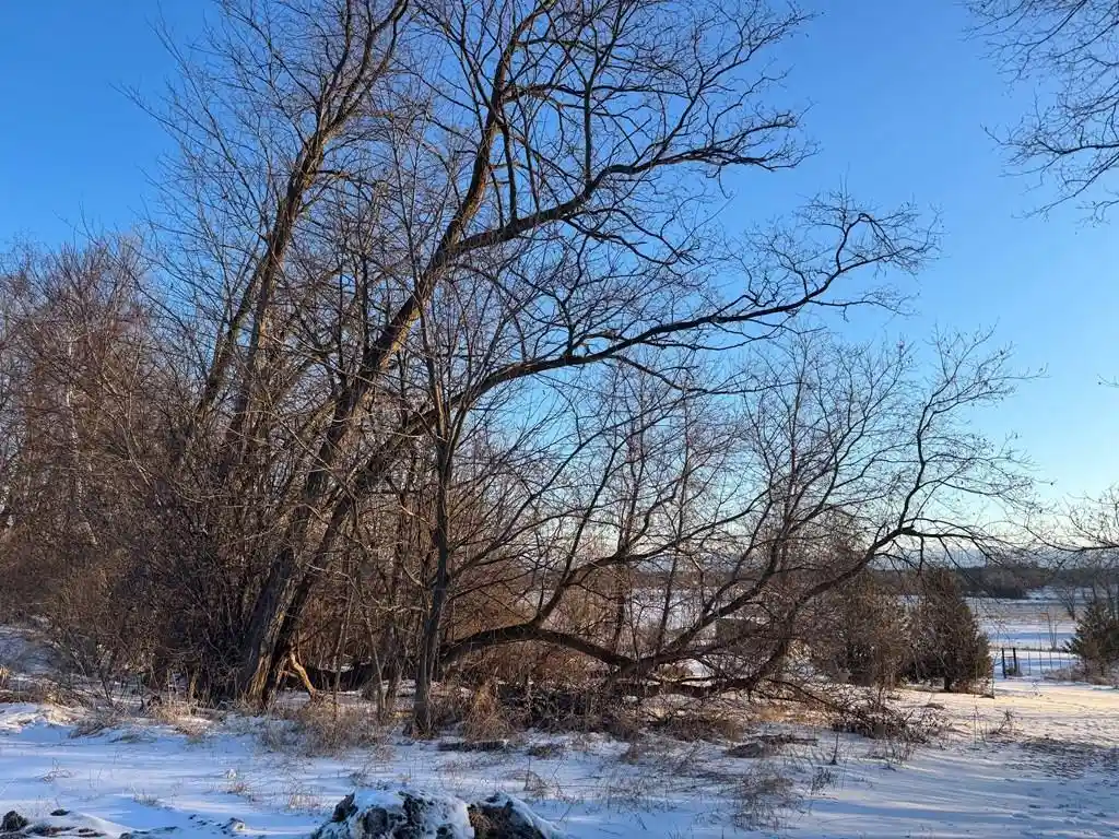 Photo 3 of Land for sale at N 20th Avenue Avenue, Sturgeon Bay, WI 54235 | MLS# 50320623 | Listing updated on 2026-05-19